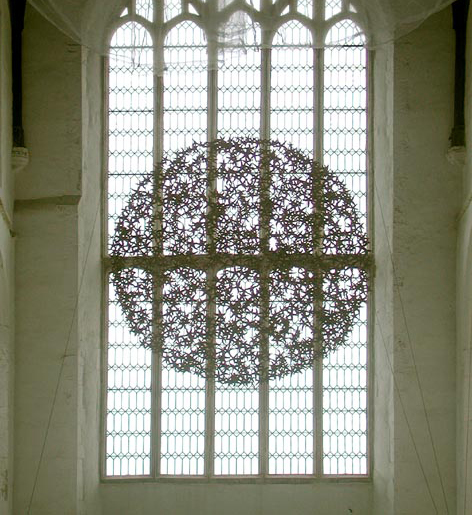 Asteroidea. Photograph by Eric Smee