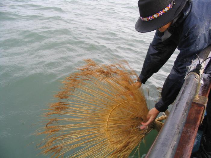 Liz McGowan taking the vessels out to sea