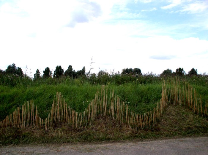 Wave of reed made by all four artists at Reedham Ferry