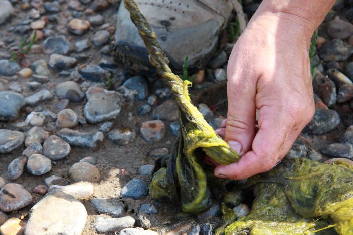 In Conversation with the Landscape