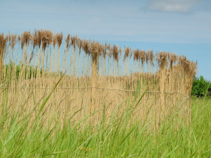Detail of Inside Outside
